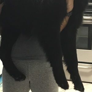 Meet your Posher, Cait